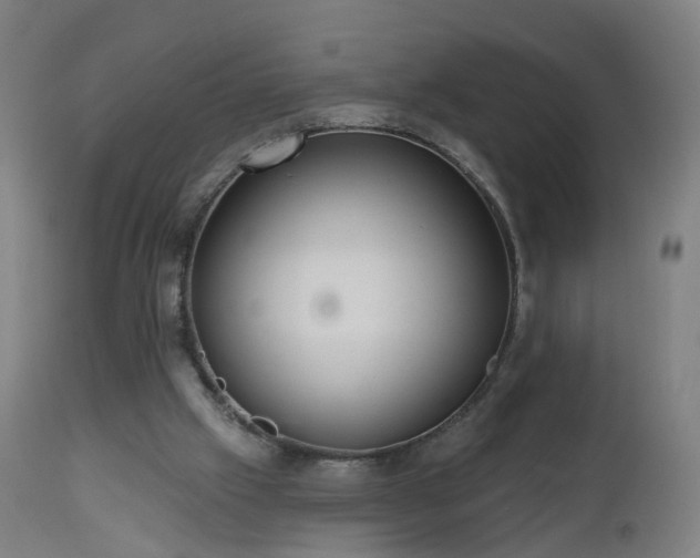X0000112520057200908241455