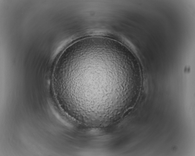 X0000112520059200908241455