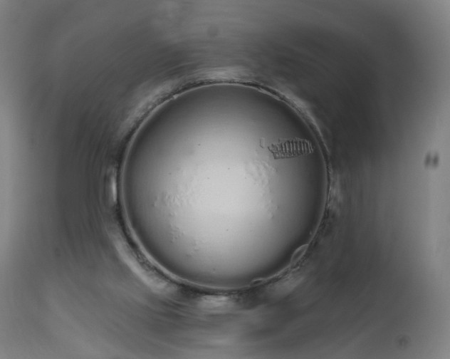 X0000112520061200908241455