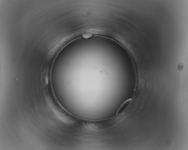X0000112520062200908241455