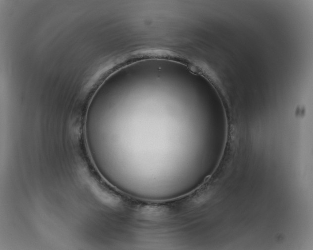 X0000112520063200908241455