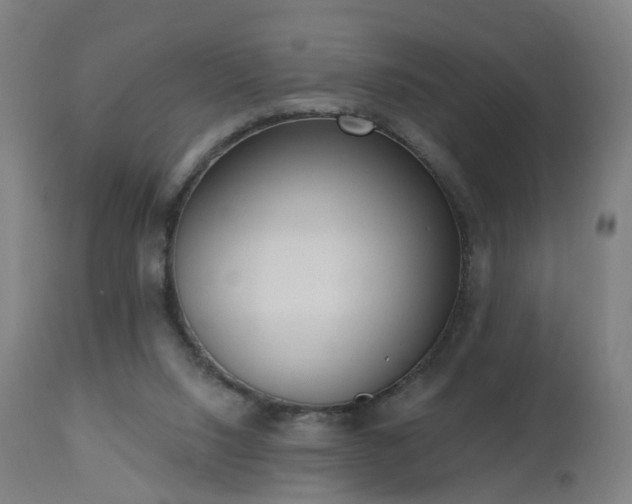 X0000112520064200908241455