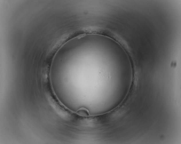 X0000112520065200908241455