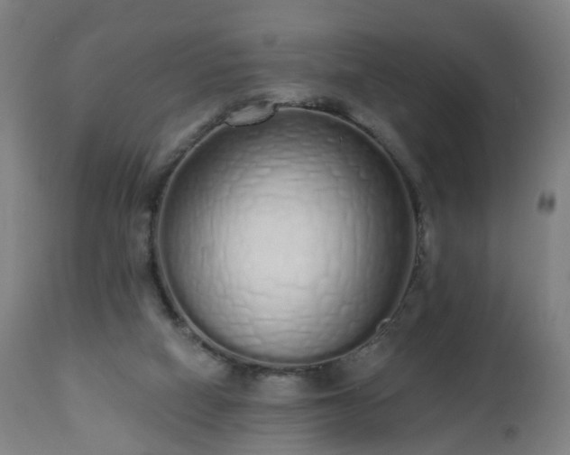 X0000112520066200908241455