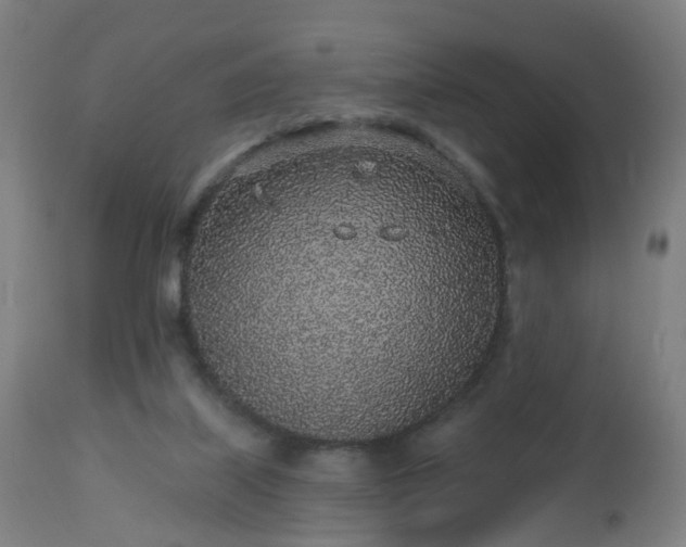 X0000112520067200908241455