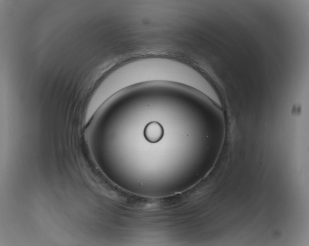 X0000112520068200908241455