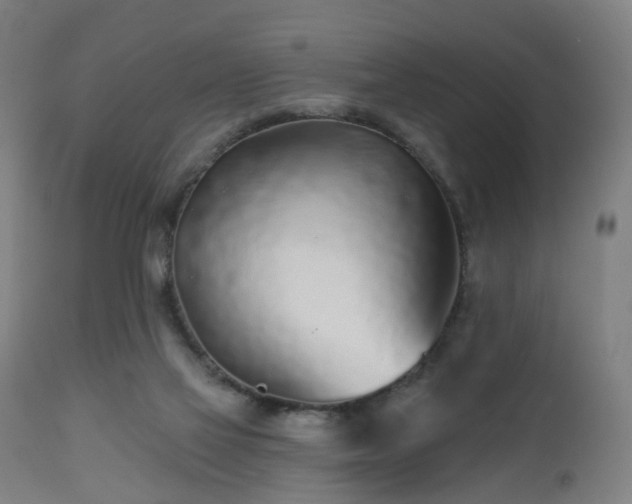X0000112520069200908241455