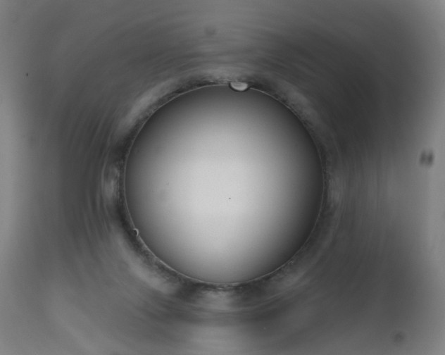 X0000112520071200908241455