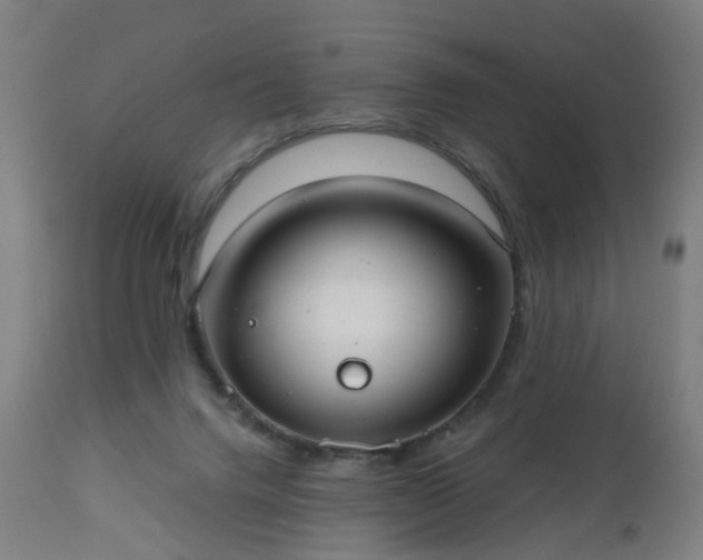 X0000112520072200908241455