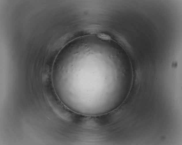 X0000112520073200908241455