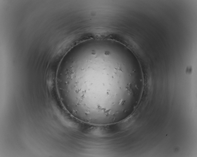 X0000112520074200908241455