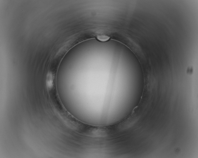 X0000112520075200908241455