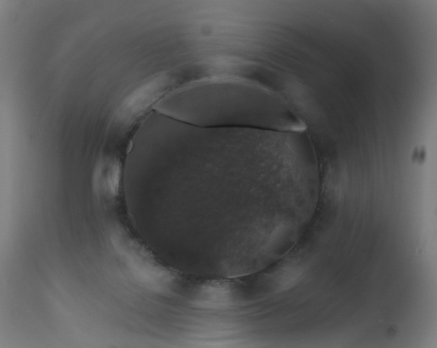 X0000112520076200908241455