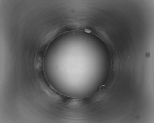 X0000112520077200908241455