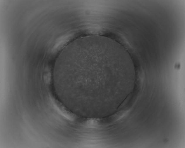 X0000112520080200908241455