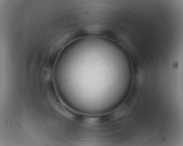 X0000112520081200908241455