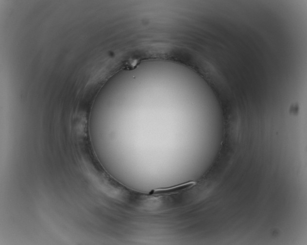 X0000112520083200908241455