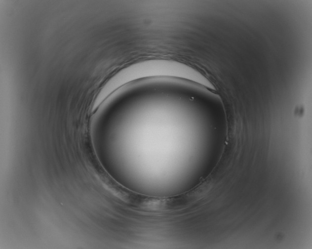 X0000112520084200908241455