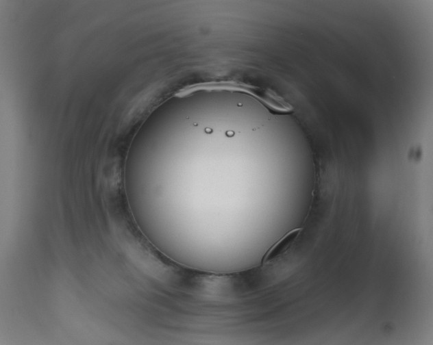 X0000112520085200908241455