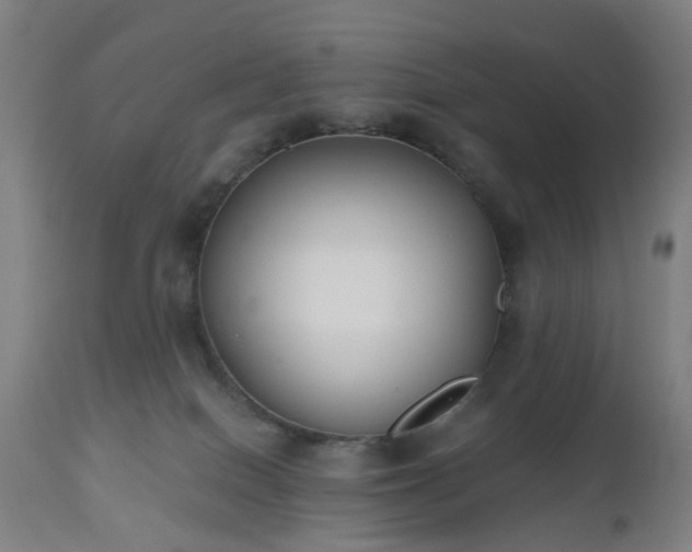 X0000112520086200908241455