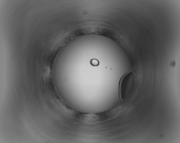 X0000112520087200908241455