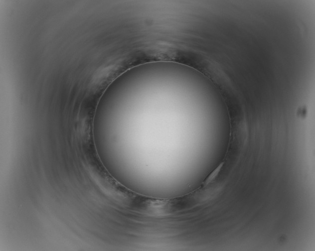 X0000112520088200908241455