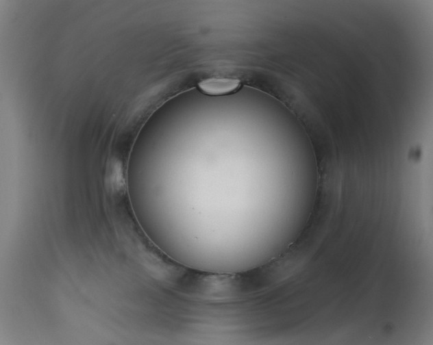 X0000112520089200908241455