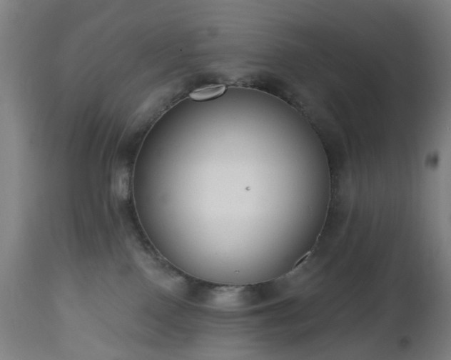 X0000112520090200908241455