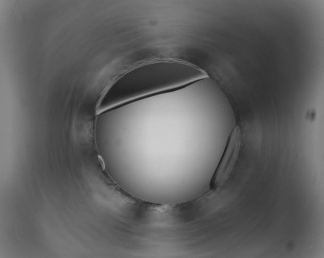 X0000112520092200908241455
