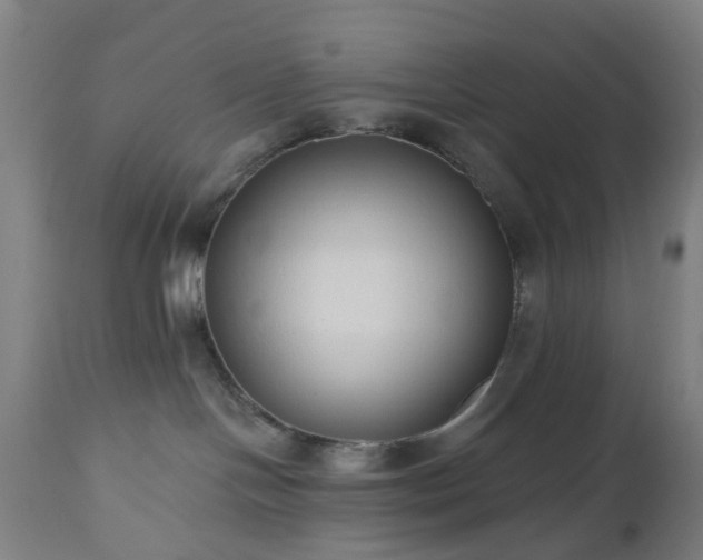 X0000112520094200908241455