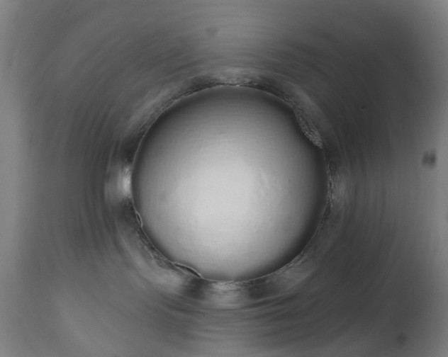 X0000112520095200908241455