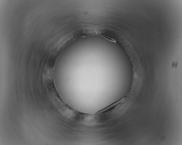 X0000112520096200908241455