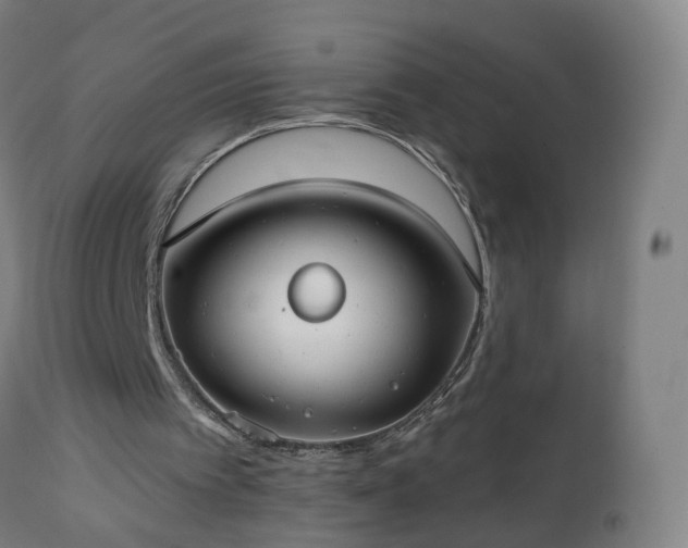 X0000112520097200908241455