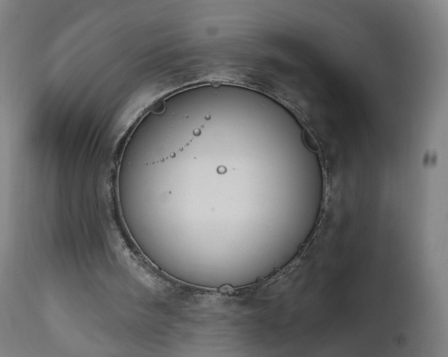 X0000112520098200908241455