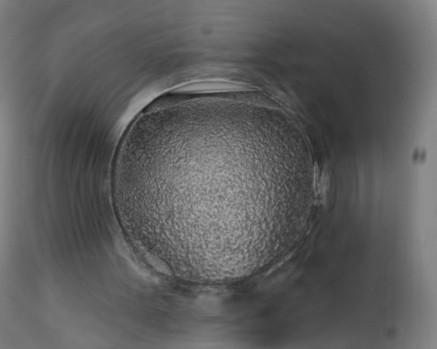 X0000112520099200908241455