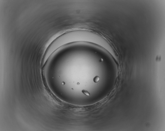 X0000112520100200908241455