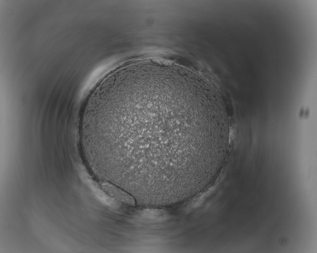 X0000112520101200908241455