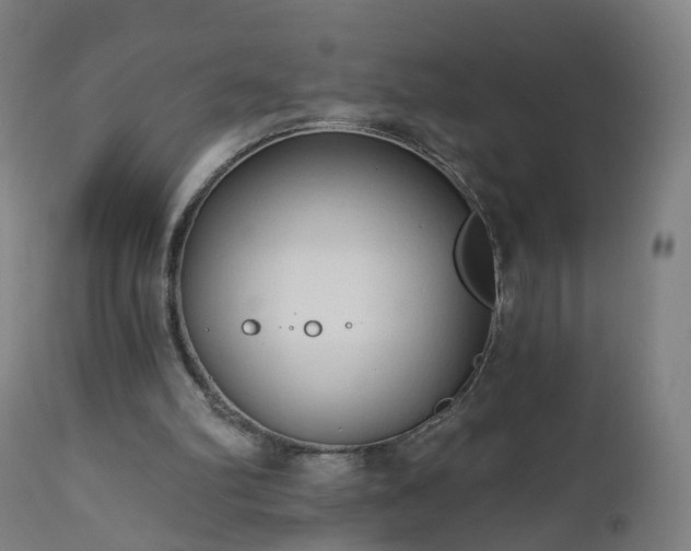 X0000112520102200908241455