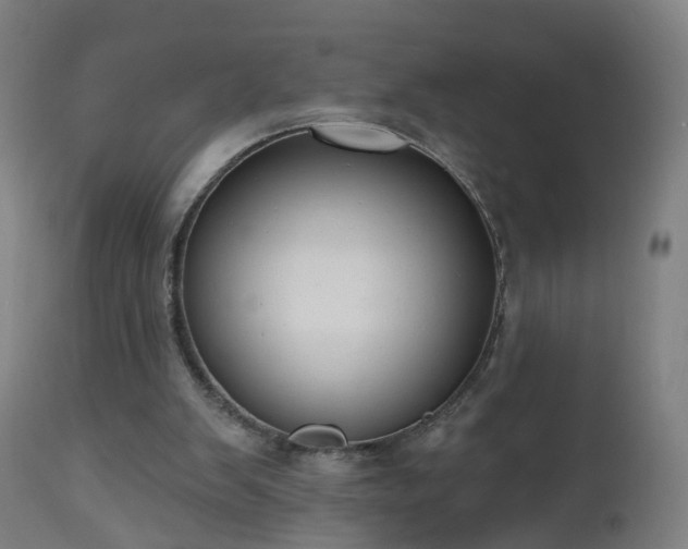 X0000112520103200908241455
