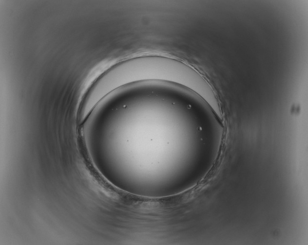 X0000112520104200908241454