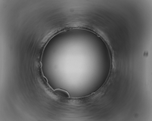 X0000112520105200908241454