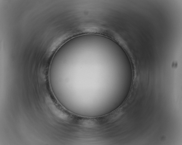 X0000112520106200908241454