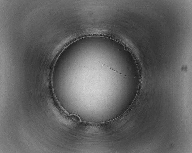 X0000112520107200908241454