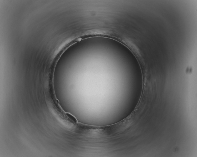 X0000112520108200908241454
