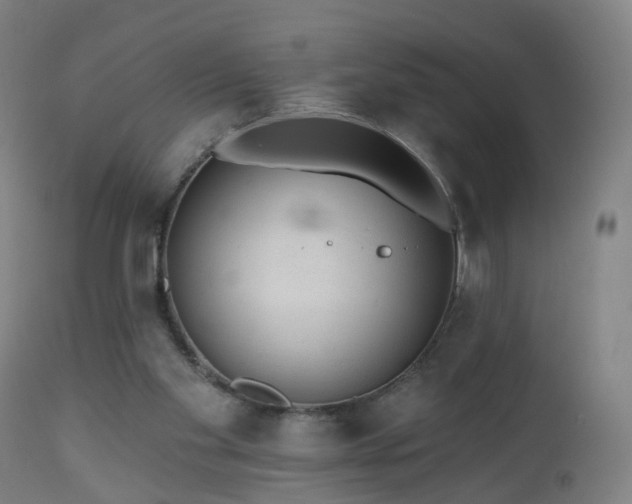 X0000112520109200908241454