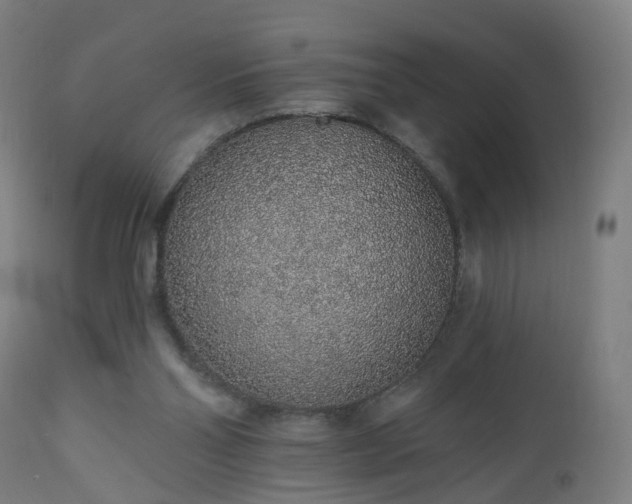 X0000112520110200908241454