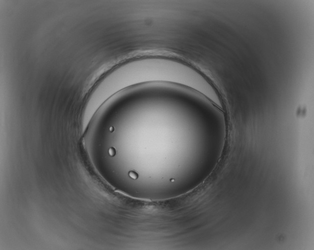X0000112520111200908241454