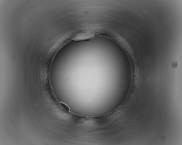 X0000112520113200908241454