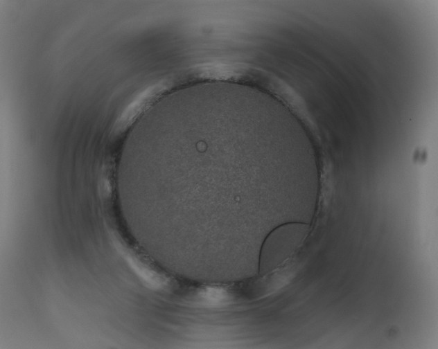 X0000112520114200908241454