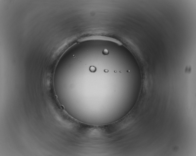 X0000112520115200908241454